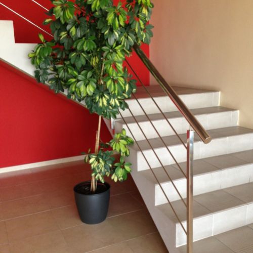 Barandilla acero inoxidable